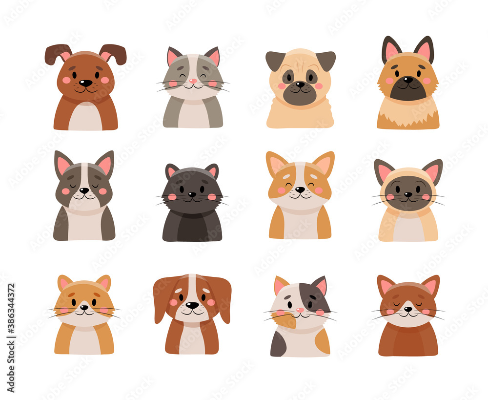 Cute pets collection, isolated on white background