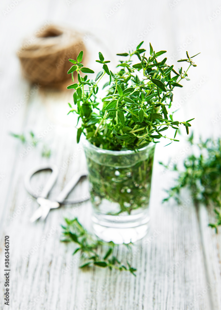 Close up view of thyme bunch. Green thyme in a glass Close up view of thyme bunch. Green thyme in a glass