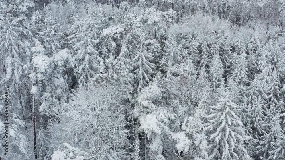 Aerial view of snow covered forest, Frankenhoehe, Franconia, Germany Aerial view of snow covered forest, Frankenhoehe, Franconia, Germany