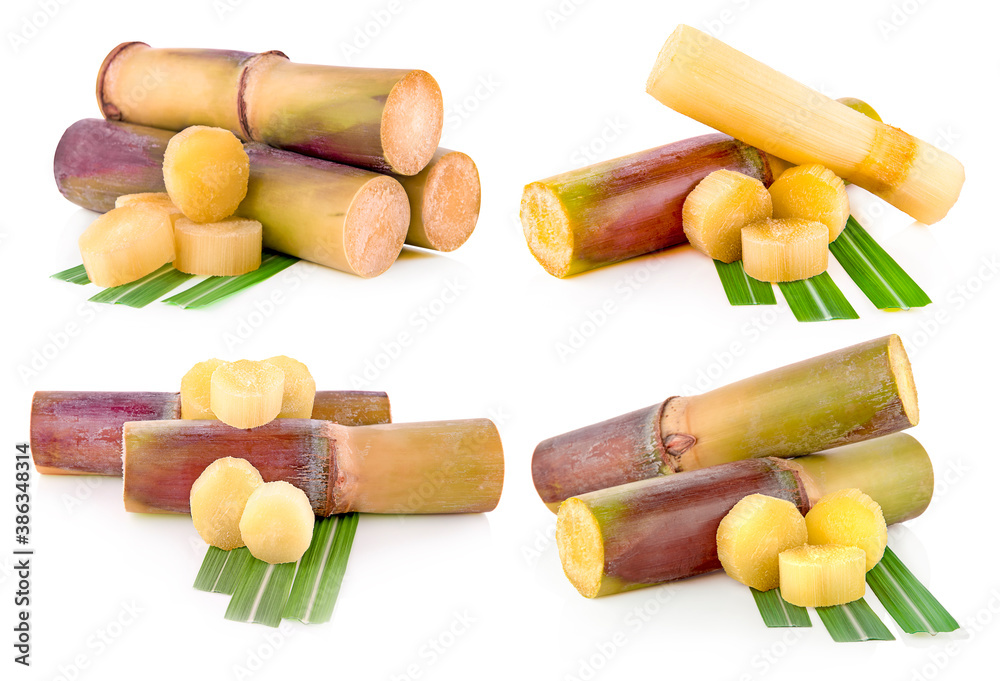 Sugarcane isolated on white background