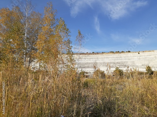
forest in Volskiy Cretaceous quarry, Saratov region, Russia