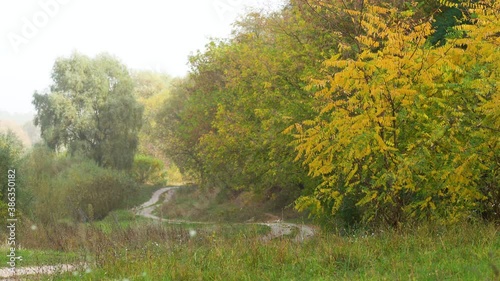 Wallpaper Mural Beautiful autumn countryside landscape. Wavy path among bright trees. Torontodigital.ca