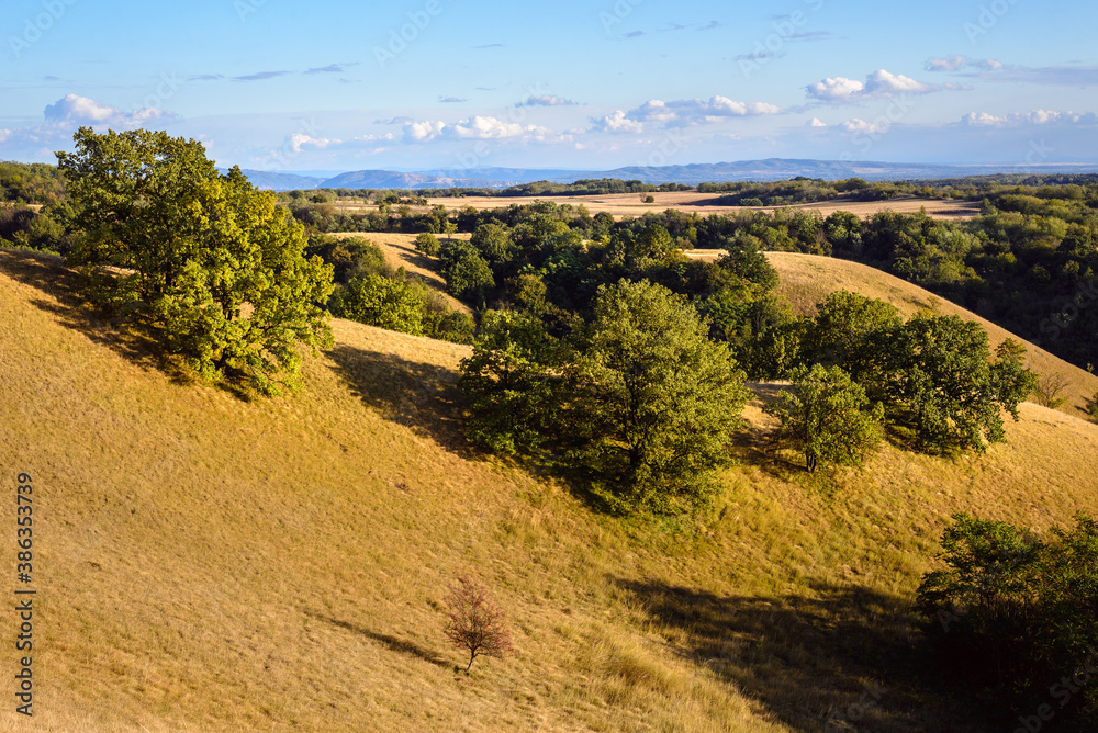 Green valley nature landscape.