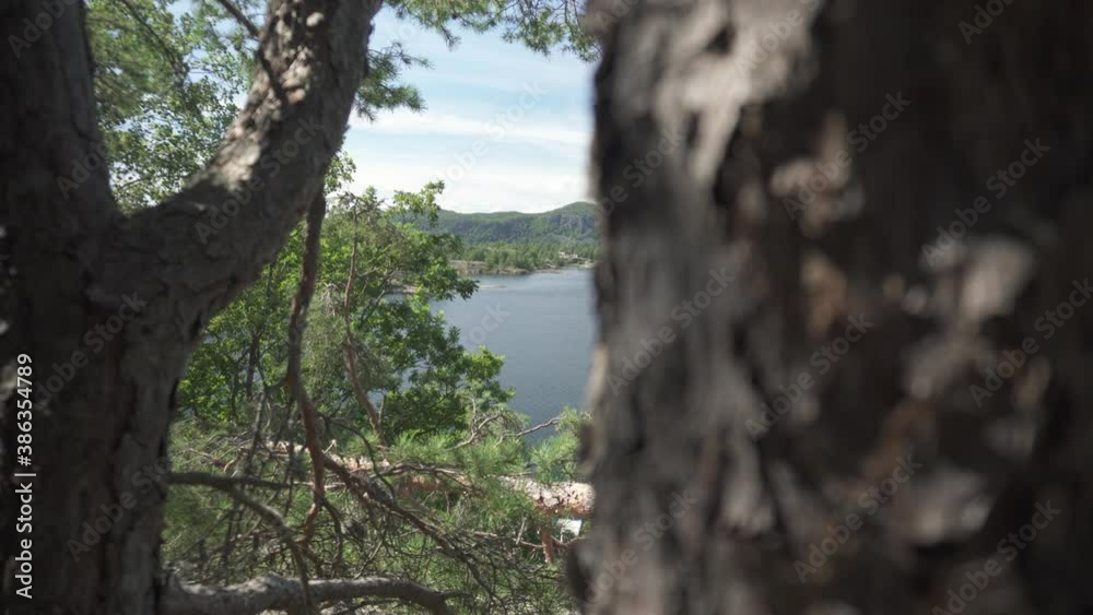 Beautiful lake background reveal behind forest trees in summer, slider shot Beautiful lake background reveal behind forest trees in summer, slider shot