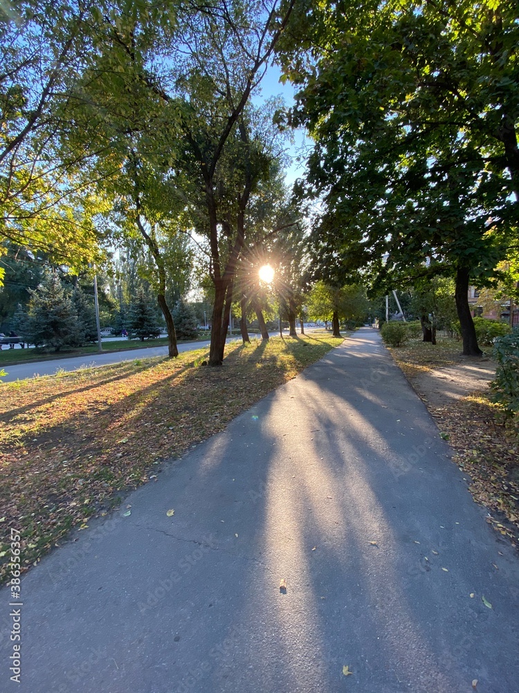 road in autumn