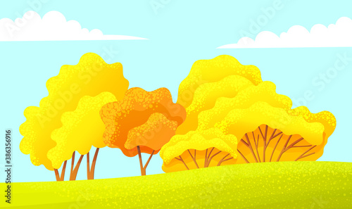 Bright yellow, orange trees, lush foliage, autumn leafy crowns. Endless yellow-green field. Blue sky with white clouds. Countryside, beautiful natural landscape. Flat vector image for books, sites