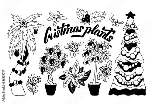 Vector set of Christmas plants isolated on a white background. Hand-drawn. New year vector sketch in Doodle style. Christmas trees of Greece, Africa, Asia, Japan. Linear black and white drawing.