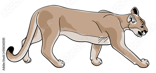 Hand-drawn cougar