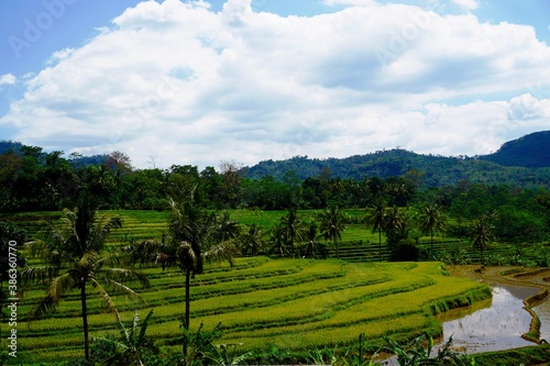 Beautiful panorama of Ungaran mountains, clear and natural morning. Beautiful and fresh spring scenery in the mountains, with rice fields as backgroun