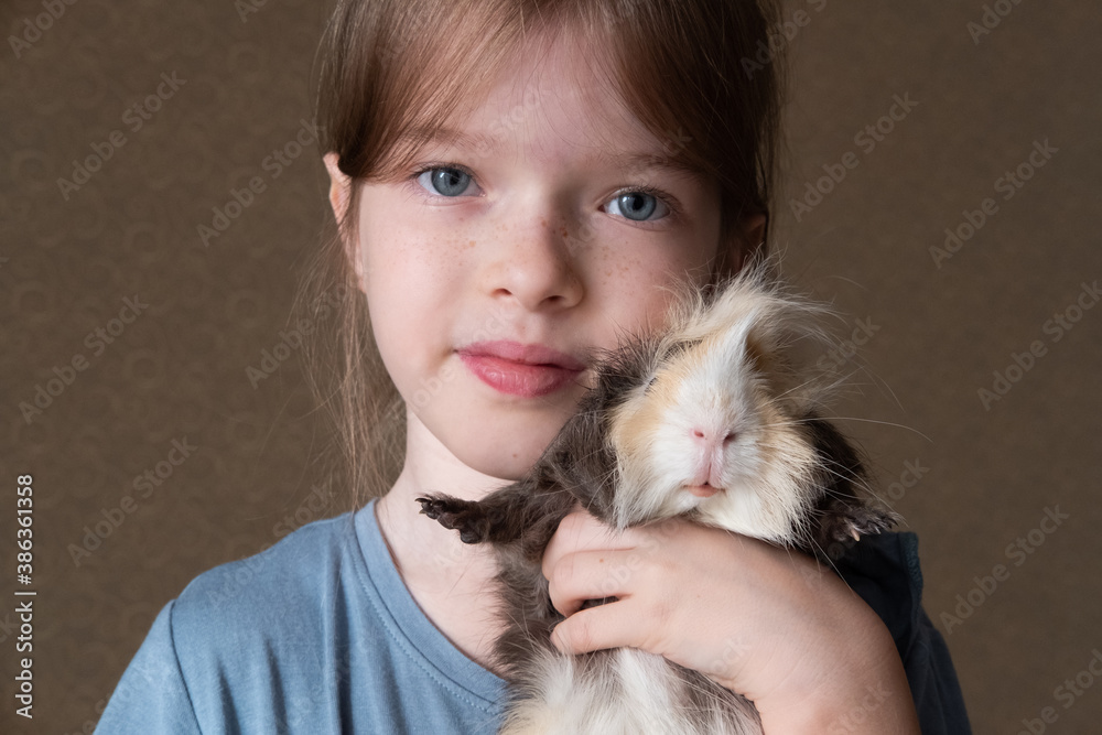 Little girl holding a guinea pig in her arms, love of children and animals, pet concept