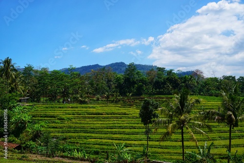 Beautiful panorama of Ungaran mountains, clear and natural morning. Beautiful and fresh spring scenery in the mountains, with rice fields as background.