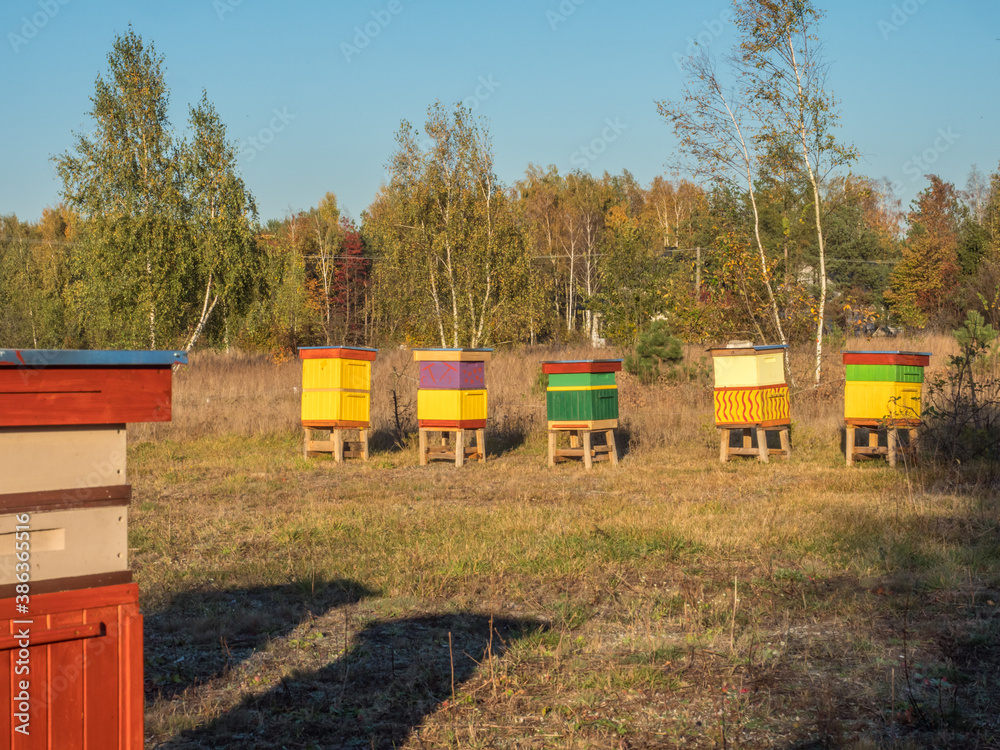Poland in the autumn. Poland in the autumn.