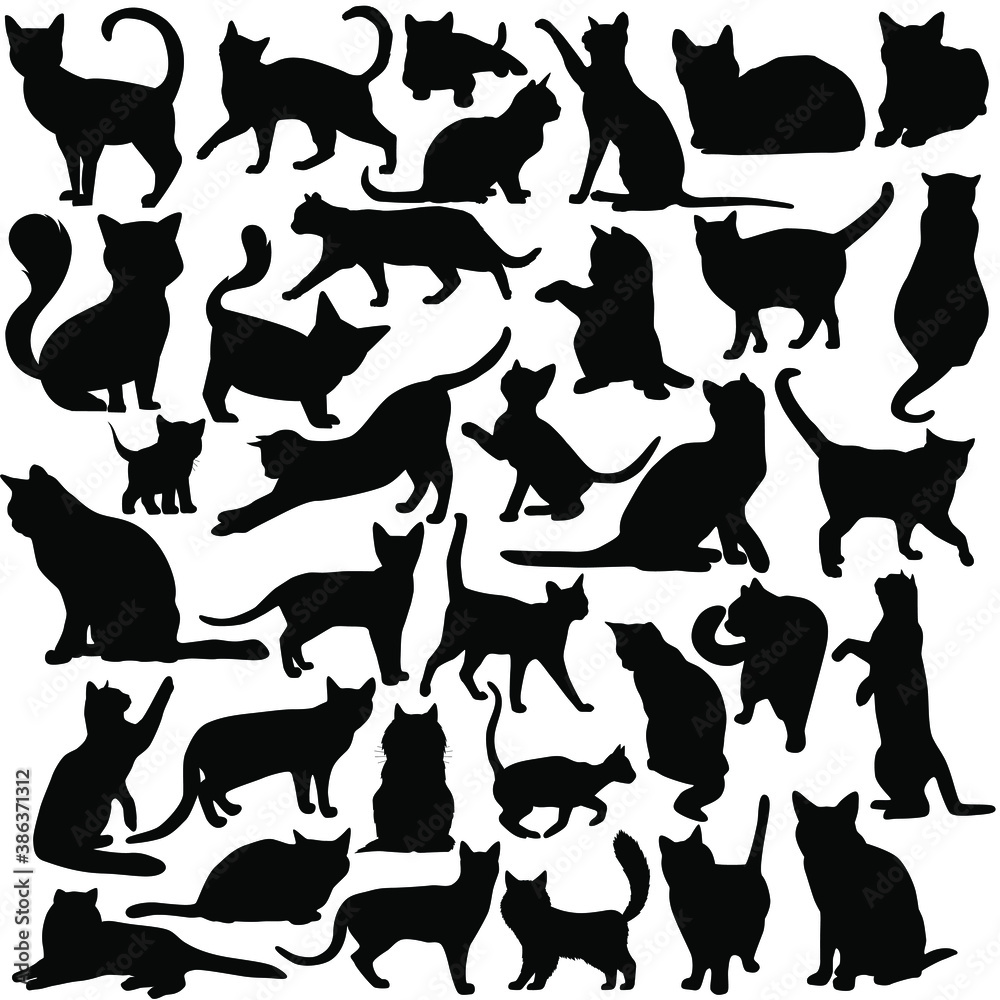 Cat icon vector set. pet illustration sign collection. tomcat symbol. Cat icon vector set. pet illustration sign collection. tomcat symbol.