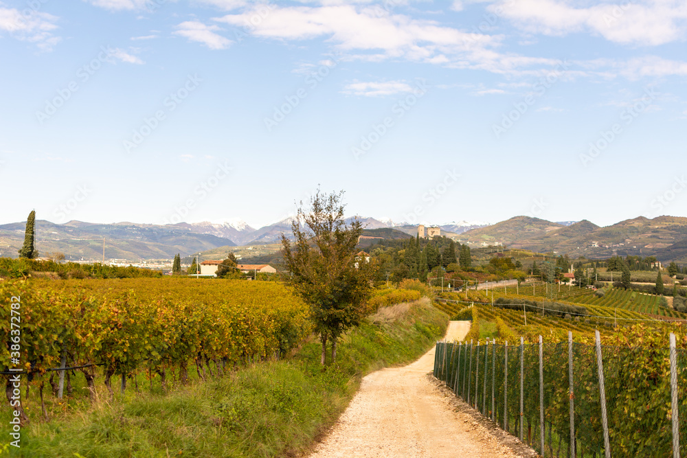 Beautiful view over the hills of the Veneto Region in Italy. It is one of the famous Italian Winemaking Region with small picturesque towns