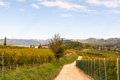Fototapeta Naklejka Na Ścianę i Meble -  Beautiful view over the hills of the Veneto Region in Italy. It is one of the famous Italian Winemaking Region with small picturesque towns