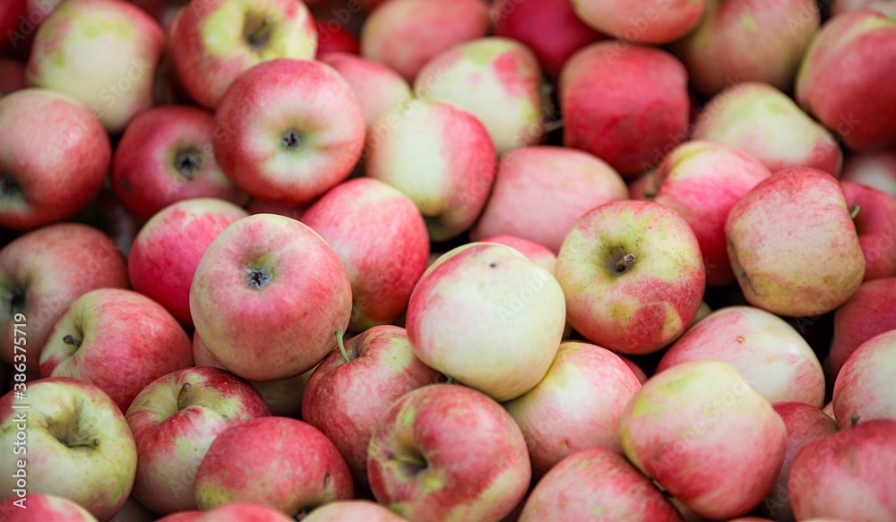 apples -close-up of fruit and vegetables for sale at the market apples -close-up of fruit and vegetables for sale at the market