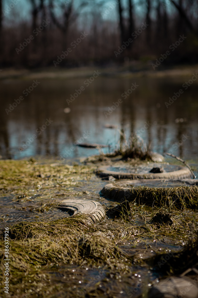Fototapeta premium Old worn car tires on the lake shore. An example of how people disturb and pollute nature. An ecological catastrophe.