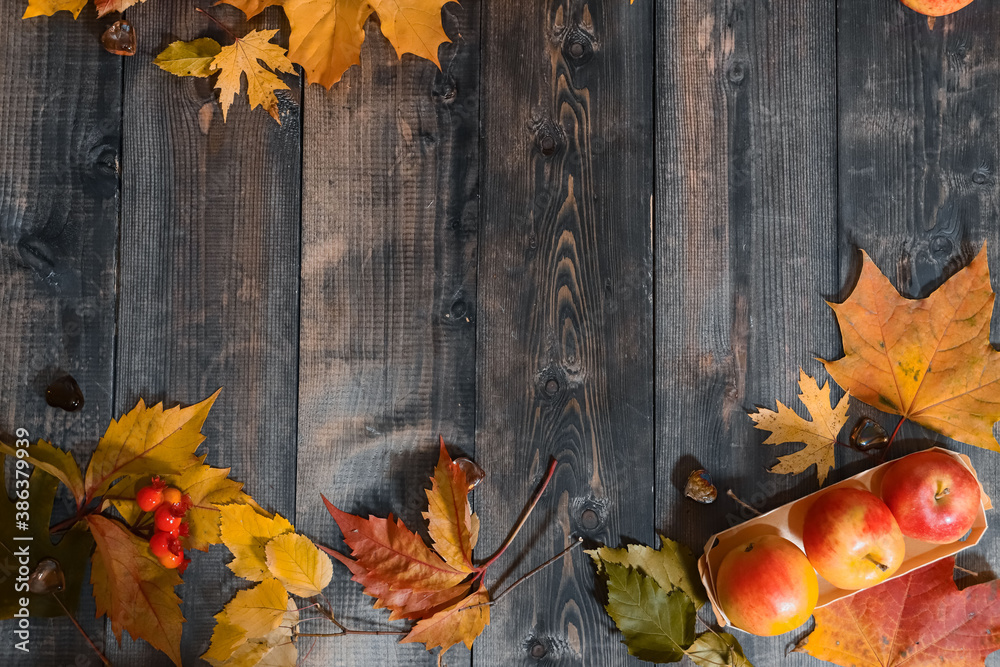 Obraz premium On a gray wooden tabletop on yellow autumn leaves, autumn yellow apples, flowers, orange and yellow pumpkins, an elegant box decorated with a bunch of mountain ash are laid out.