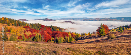 Panoramic morning view of mountain hills with thick fog. Sunny autumn scene of Carpathians, Ukraine, Europe. Bright fall landscape of fabulous mountains. Beauty of nature concept background..