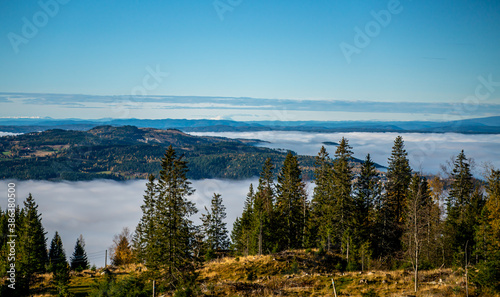 Panoramic view over fog covered valleys and green boreal pine forests. © henjon