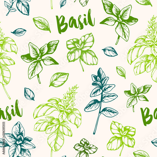 Vintage seamless pattern with green basil