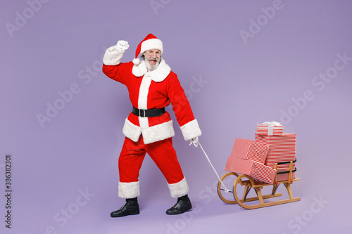 Full length portrait joyful Santa Claus man in Christmas hat suit carries sleigh with present gifts boxes doing winner gesture isolated on violet background Happy New Year celebration holiday concept.