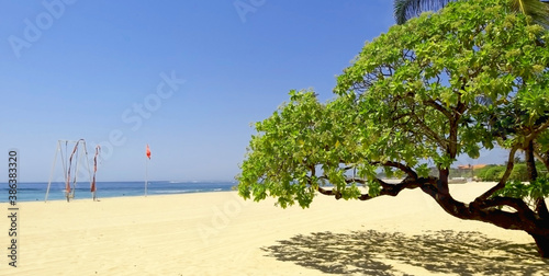 Swing on a yellow beach Indian ocean shore white sand green tree branches in the foreground and blue sky in the background
