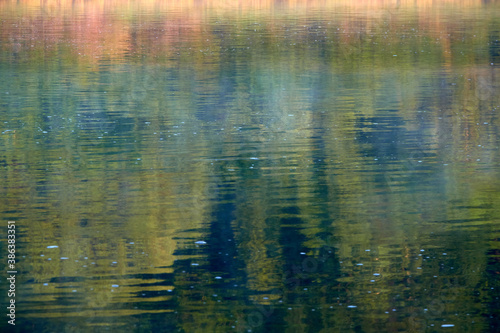 Monet without water lilies