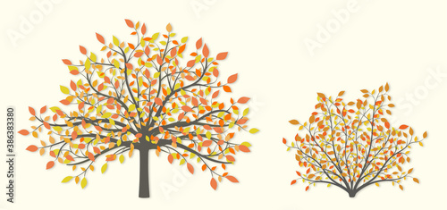 Autumn tree and shrub with yellow and red leaves