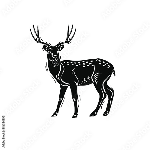 Vector deer isolated on white. Deer silhouette  vector illustration. Black and white vector horned deer illustration. 