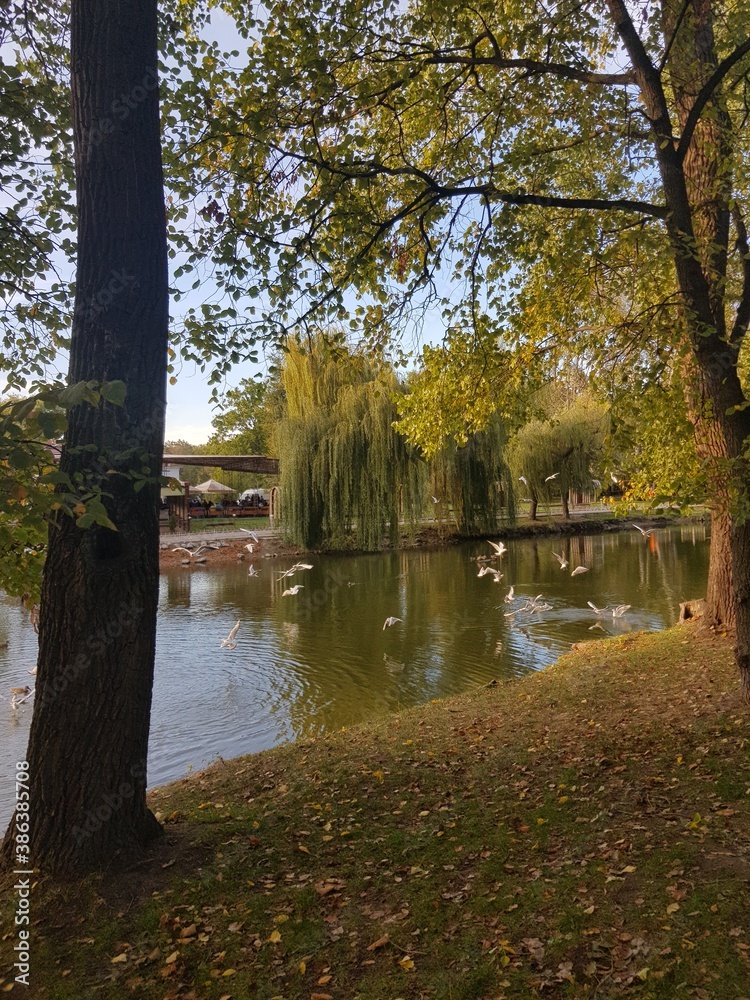 autumn in the park autumn in the park