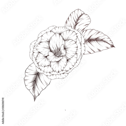 Canvas-taulu Cute camelia flower design element, wedding decor element