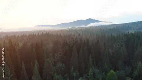 Forests and mountains of the Southern Urals near the village of Tyulyuk in Russia early in the morning. Drone view. photo