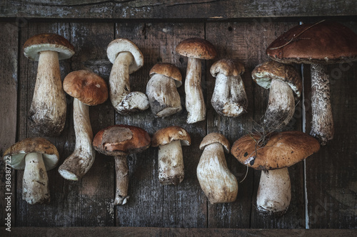 Mushroom harvest directly from forest on a wooden table. Autumn food flatlay