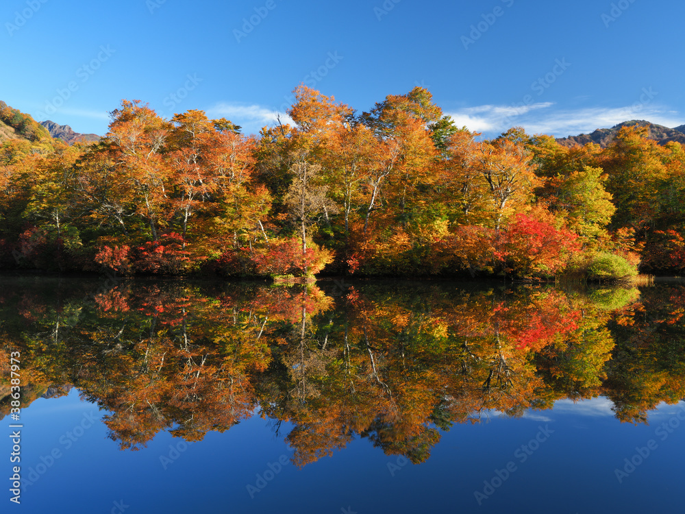 紅葉の鎌池