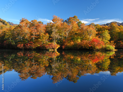 紅葉の鎌池