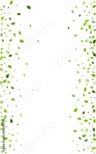 Lime Greens Herbal Vector Poster. Fresh Foliage 