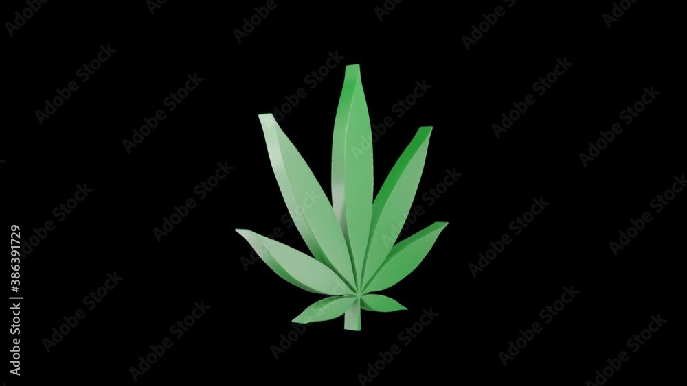 Cannabis leaf icon spinning. Alpha channel. Seamless looping. Cannabis leaf icon spinning. Alpha channel. Seamless looping.