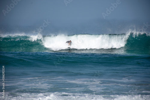 Fuerteventura island, surfing in paradise