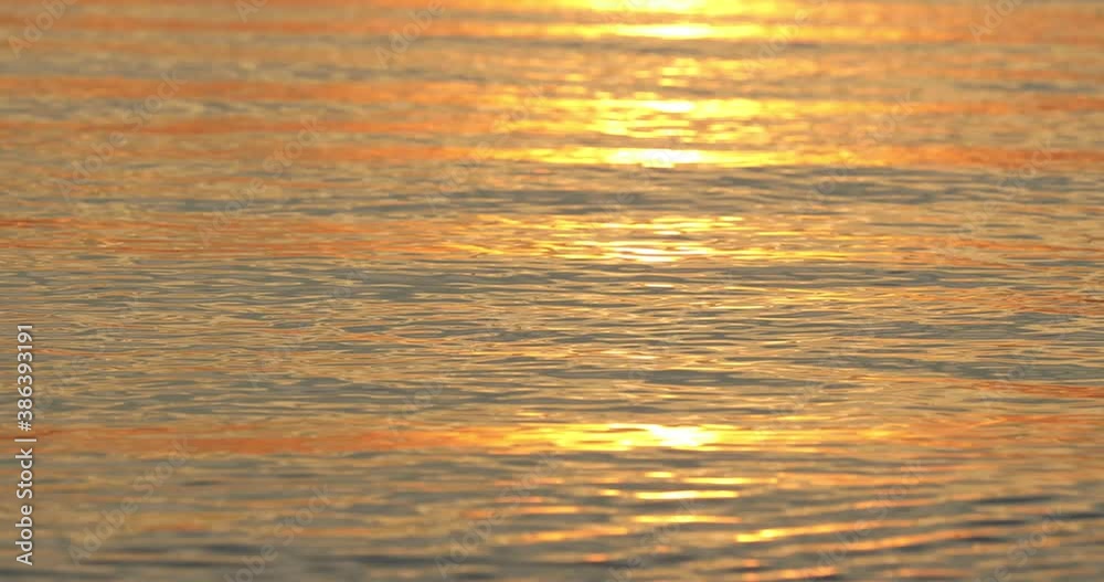 silhouette of birds on a yellow sunset background. Summer beautiful sea sunset on a beach. silhouette of birds on a yellow sunset background. Summer beautiful sea sunset on a beach.