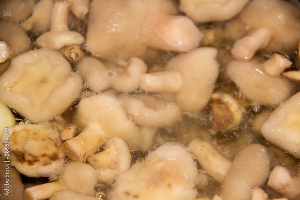 Butter mushrooms are peeled and boiled in water Butter mushrooms are peeled and boiled in water