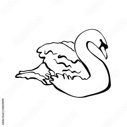 Vector single silhouettes of a Swan isolated on a white background. Icon of a Swan floating on the water. Vector illustration in black and white sketch style.  decorative birds. hand-drawn