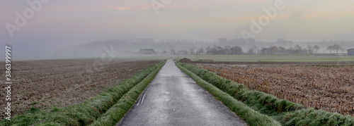 Fotografie In flemish fields morning misty landscape view