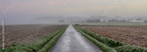 In flemish fields morning misty landscape view