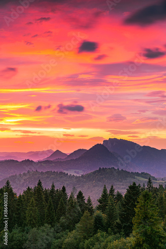 Fototapeta Naklejka Na Ścianę i Meble -  Pieniny