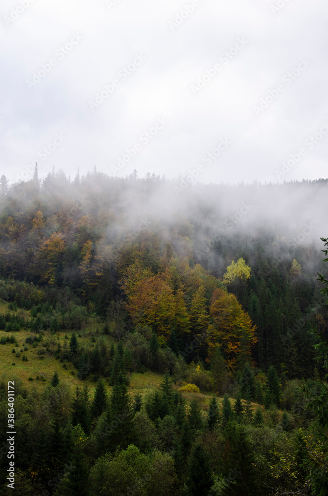 Autumn landscape in the mountains with a fog. Carpathian Mountains, Ukraine.