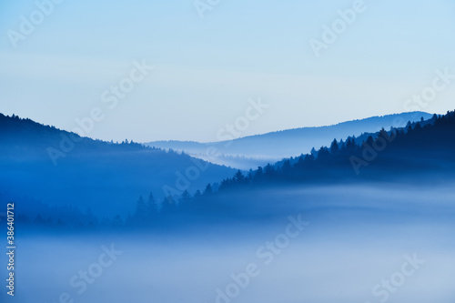 Morning mist over hill landscape in the Beskids, Poland. Blue, cold morning in the forest.