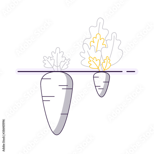 Two carrots for the image of Pareto's law rule 80 and 20, showing resource efficiency in a simple flat style gray, purple colors, high and low self-esteem