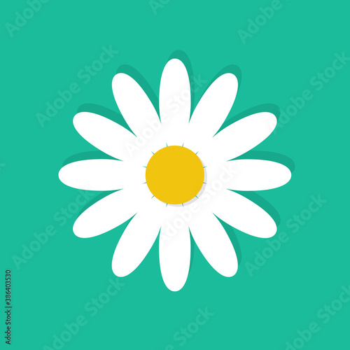 Fototapeta Naklejka Na Ścianę i Meble -  White daisy chamomile isolated on background. Daisy flower vector illustration. Floral background. Flat design style.