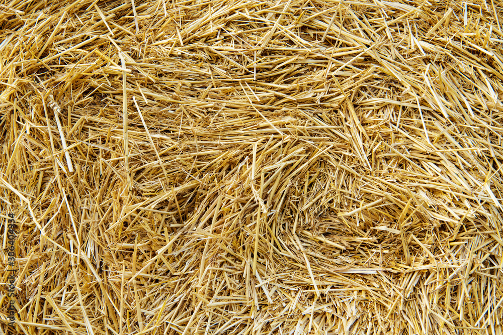 Hay texture. Hay bales are stacked in large stacks. Harvesting in agriculture. Hay texture. Hay bales are stacked in large stacks. Harvesting in agriculture.